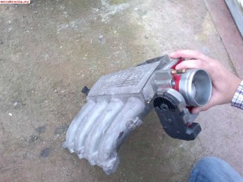 Mariposa 64 para clio sport