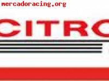 Linea escape completa trofeo saxo 