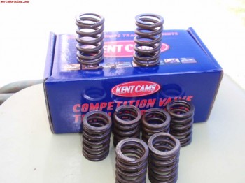 Muelles de valvula reforzados 205 rallye