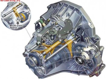 Piñoneroa caja origen  205 rally