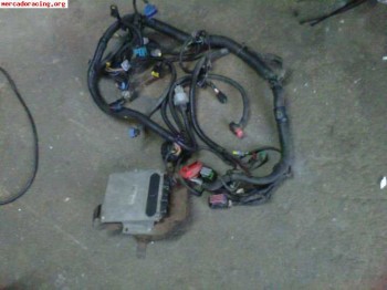 Instalación electrica saxo vts 16v fase 2