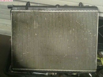 Radiador   frente con electro 206 xs