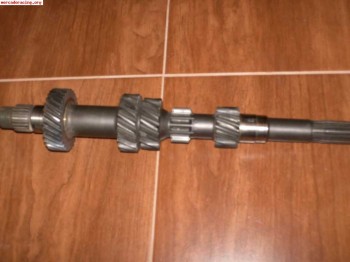 Se vende primario de relacion cerrada bacci romano (ma) 