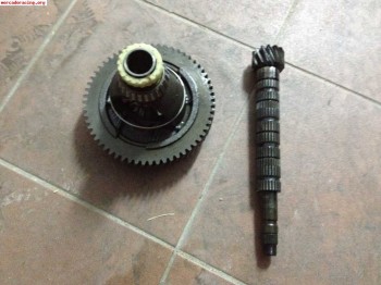 Grupo 13x59  100 euros