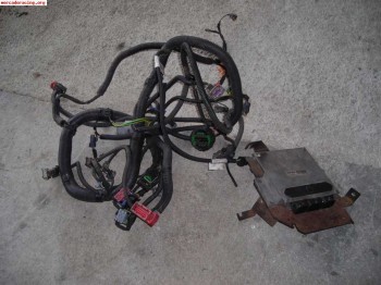 Instalación electrica de saxo 16v fase 2 y centralita (180€)