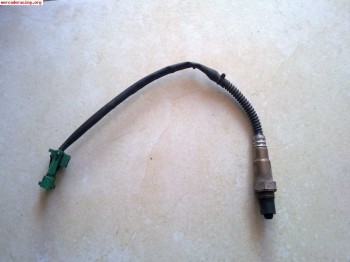 Sonda lambda saxo/106