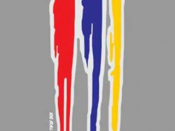 Varios de saxo16v/106gti