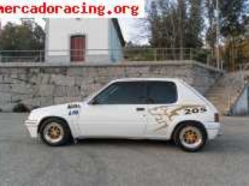 Linea grupo n p 205 rallye