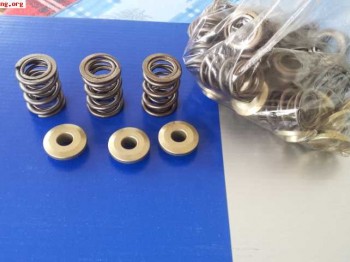 Muelles de valvulas dobles y cazoletas de valvula clio willi
