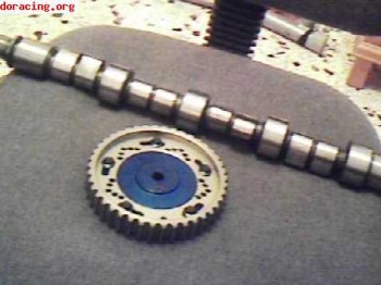 Arbol de levas y polea regulable