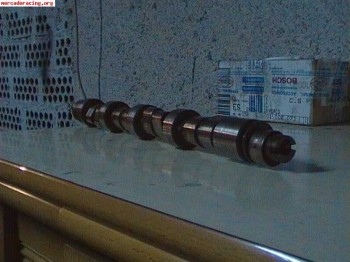 Arbol levas 205 rallye de origen