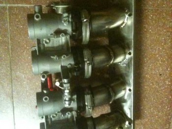 Admision papillon saxo!!