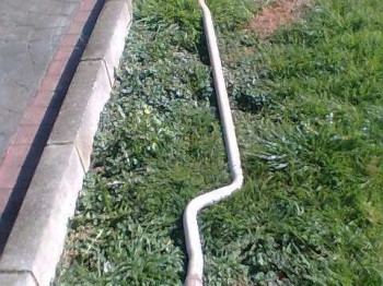 Se vende linea de escape recta para saxo/106