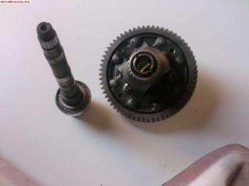 Grupo corto 14 62 100 euros