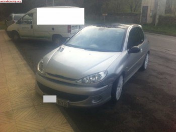 Despiece completo de 206 gti