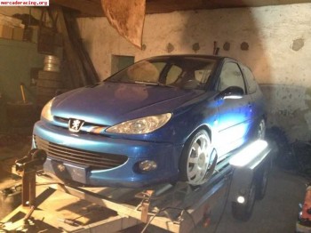 Despiece completo de 206 rc