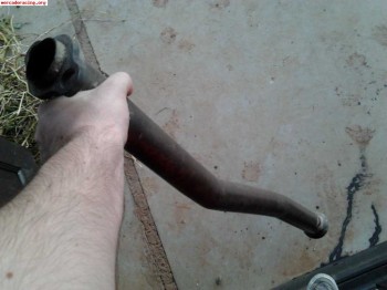 Vendo supresor de catalizador para saxo 8v y 16v
