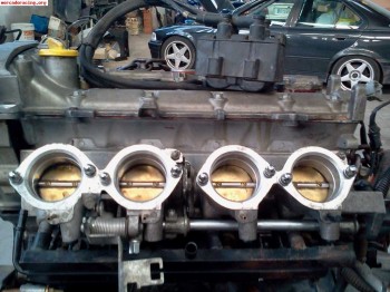 Papillones clio sport