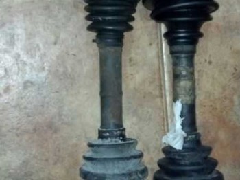 Palieres lancia beta