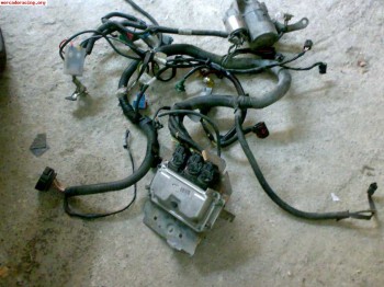 Instalacion y centralita peugeot citroen 100cv