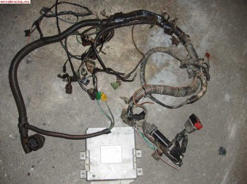 Electronica del trofeo saxo