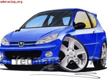 Frenos de 206 gti pinzas , pastillas y discos ----en perfect