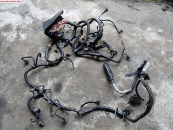 Cableado original clio williams