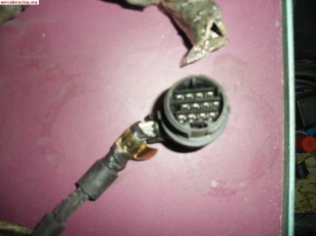 Solo zx copa o inyeccion alpha