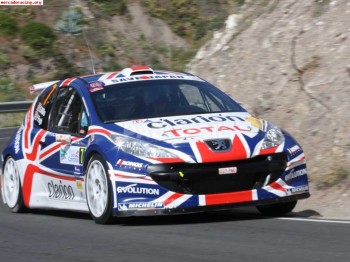 Vendo despiece 206 nacional de rallye