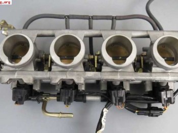 Mariposas independientes universales