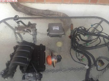 Centralita  y cableado saxo 16