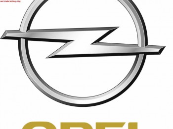 Arbol de levas   polea regulable   culata de opel corsa gsi