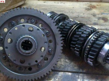 Grupo corto para caja de crabots