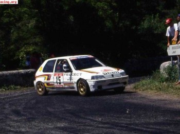 Vendo despiece 106 1.3 rallye