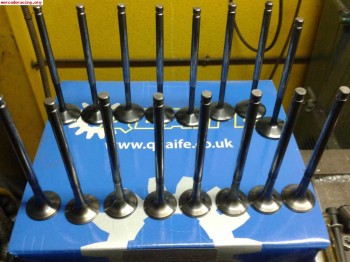 Válvulas de titanio saxo kitcar