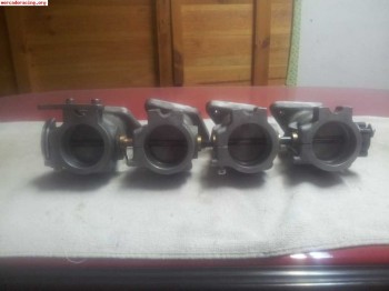 Se vende kit de papillon