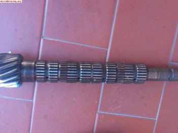 Grupo peugeot 205 rallye