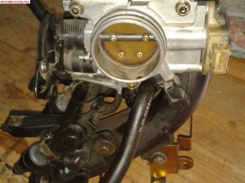 Mariposa admision saxo, ax gti, 106 rallye