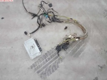 Centralita y cableado c2vts, 206xs etc en bamco y simplifica