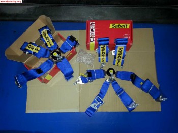 Arneses sabelt 6pts 3 