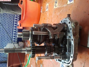 Caja quaife f13 opel