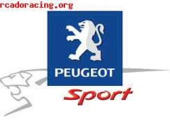 Material 206 nacional de rallye