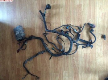 Instalacion saxo 16v fase 1