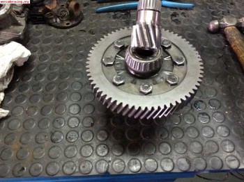 Se vende 13:64 bacci romano para ma.