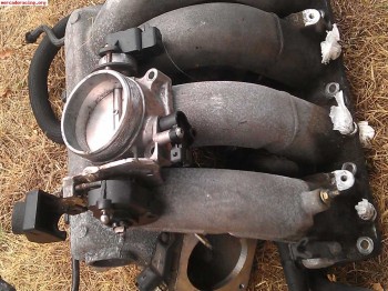 Colectores y mariposa 206rc