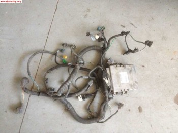 Instalacion saxo 16v con centralita