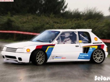 Piezas competicion 205