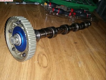 Polea cat cams y arbol de levas