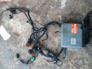 Electrónica zx volcane 