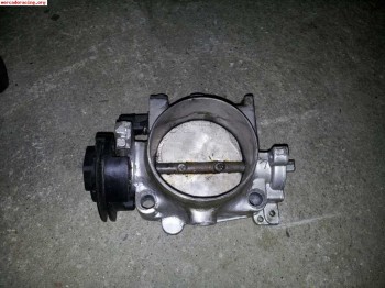 Mariposa saxo grupo a